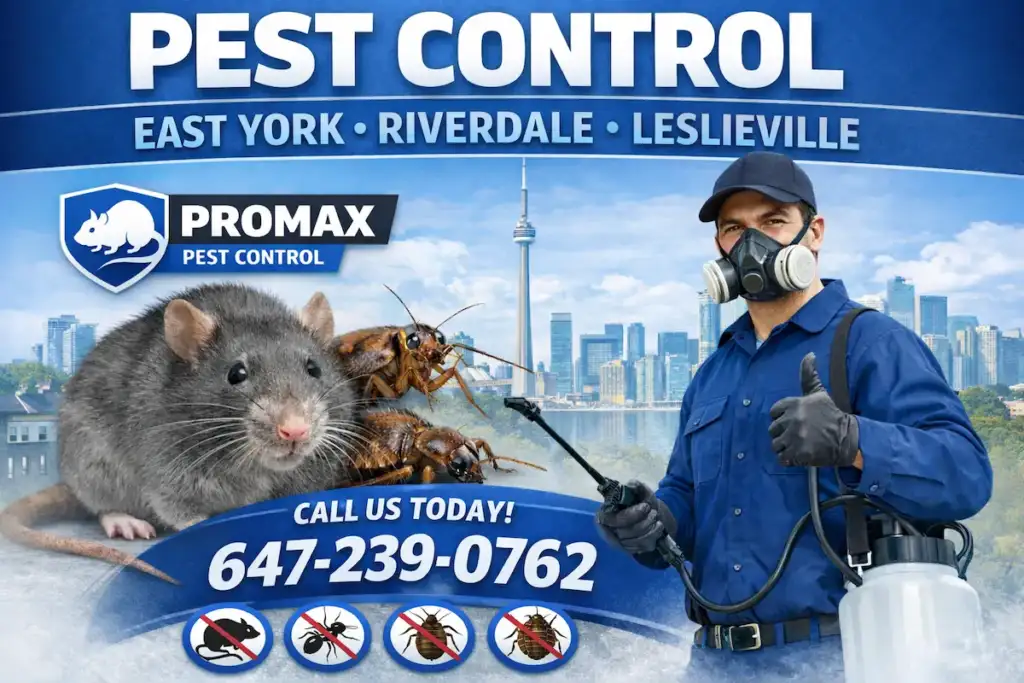 Promax Pest Control providing professional pest control service in Riverdale, Leslieville and East York Toronto
